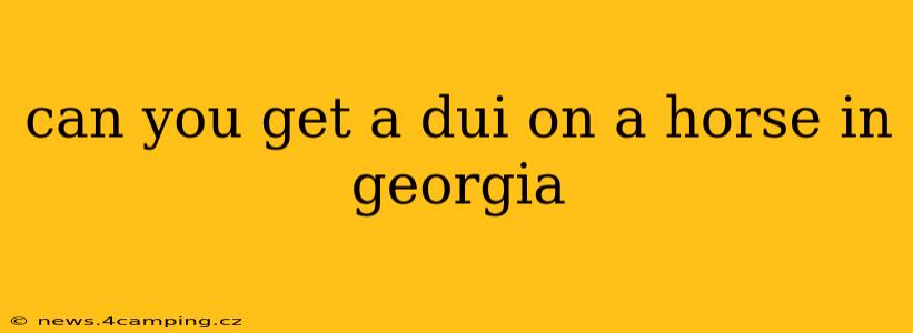 can you get a dui on a horse in georgia