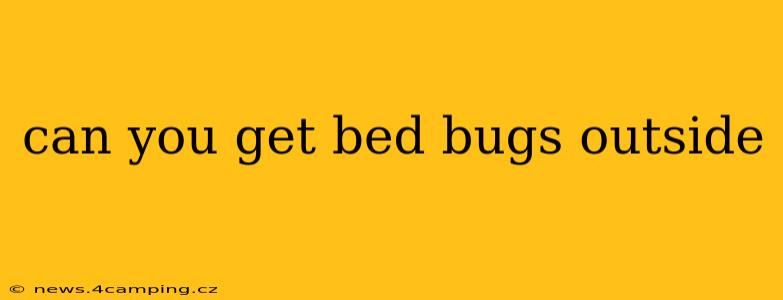 can you get bed bugs outside