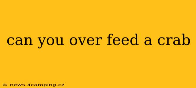 can you over feed a crab
