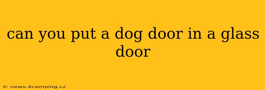 can you put a dog door in a glass door