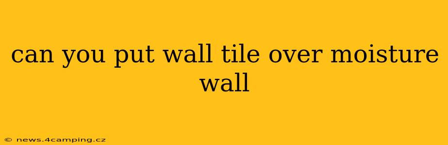 can you put wall tile over moisture wall