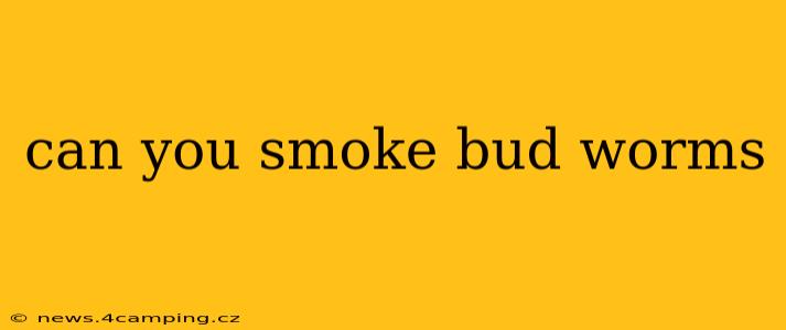can you smoke bud worms