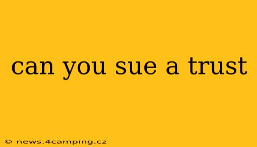 can you sue a trust