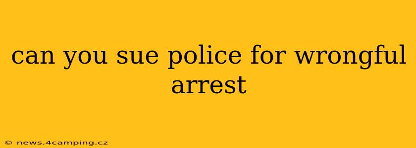 can you sue police for wrongful arrest