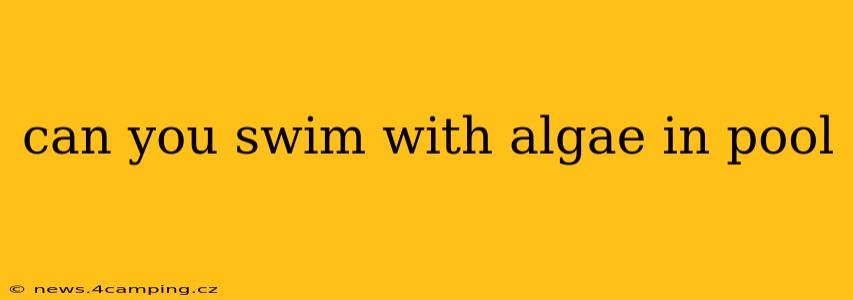 can you swim with algae in pool