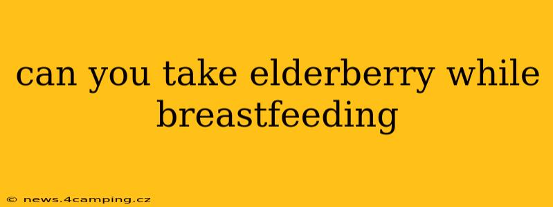 can you take elderberry while breastfeeding