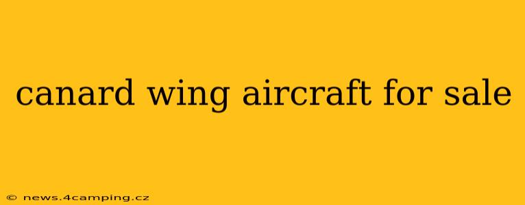 canard wing aircraft for sale