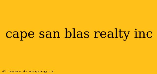 cape san blas realty inc
