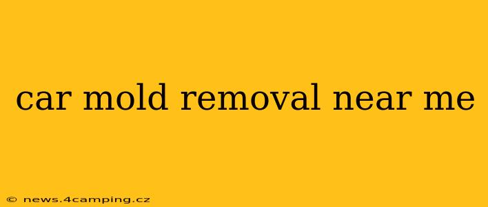 car mold removal near me