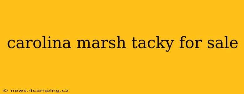 carolina marsh tacky for sale