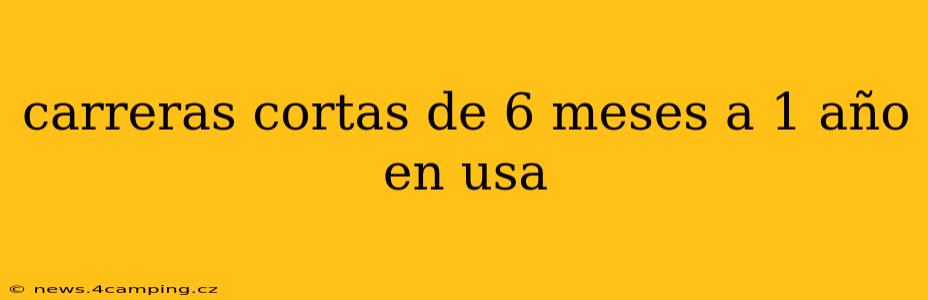 carreras cortas de 6 meses a 1 año en usa