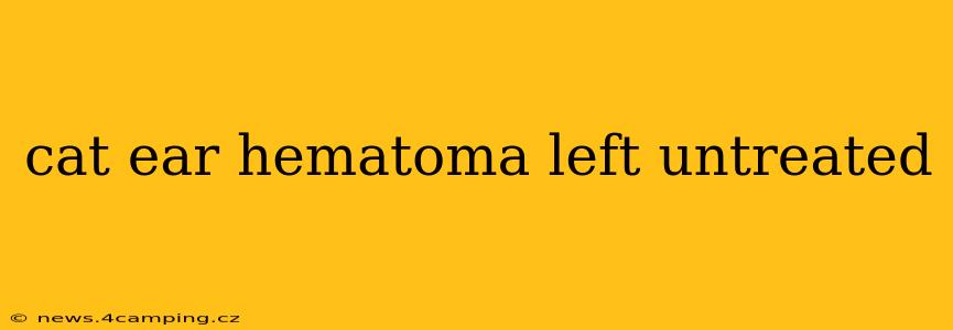 cat ear hematoma left untreated