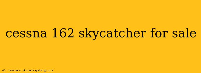cessna 162 skycatcher for sale