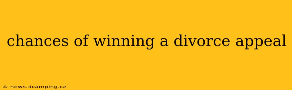 chances of winning a divorce appeal