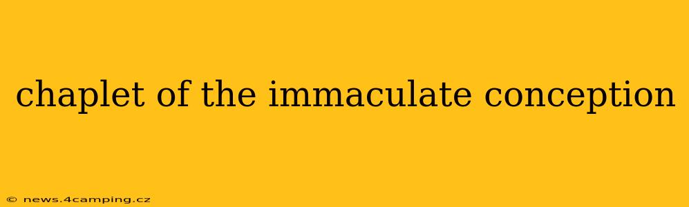 chaplet of the immaculate conception