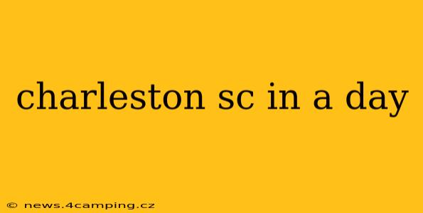 charleston sc in a day