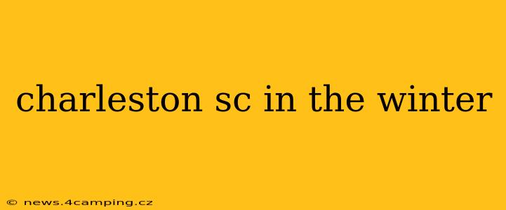 charleston sc in the winter
