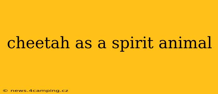 cheetah as a spirit animal