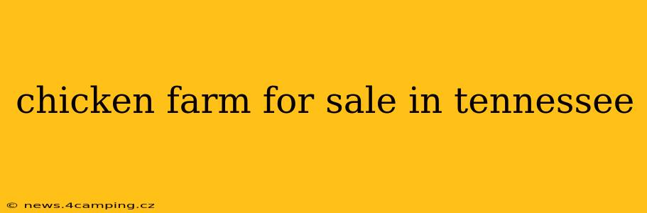 chicken farm for sale in tennessee