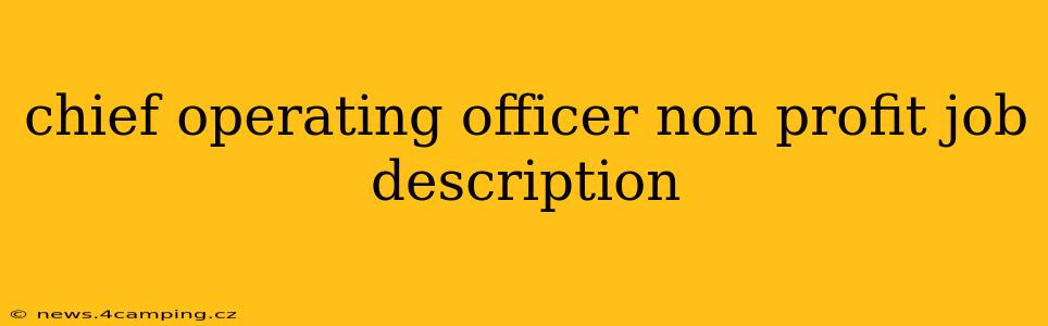 chief operating officer non profit job description