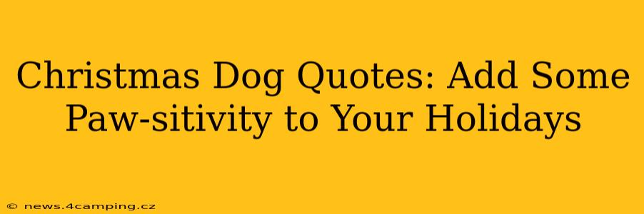 Christmas Dog Quotes: Add Some Paw-sitivity to Your Holidays