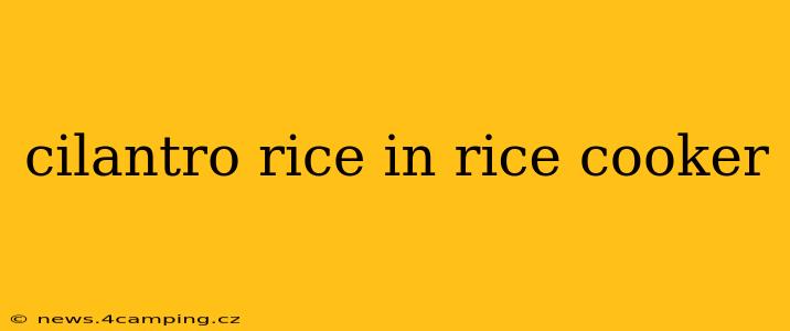 cilantro rice in rice cooker