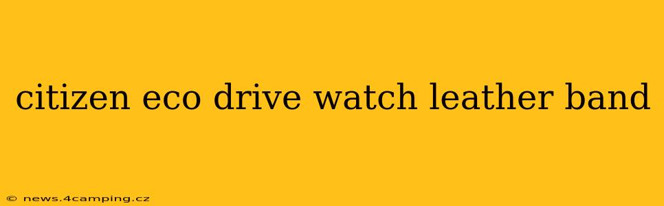 citizen eco drive watch leather band
