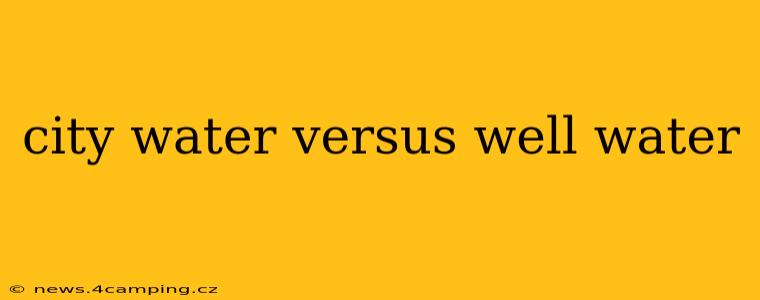 city water versus well water