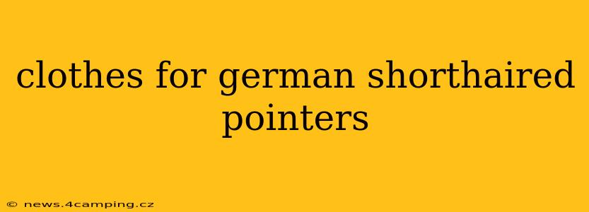 clothes for german shorthaired pointers