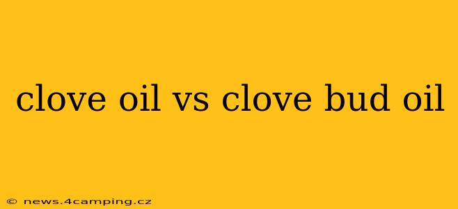 clove oil vs clove bud oil
