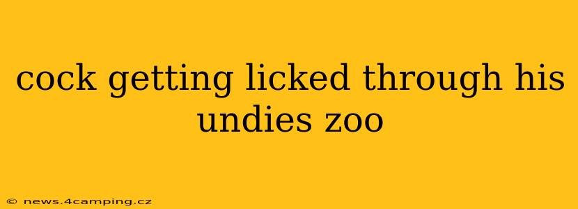 cock getting licked through his undies zoo