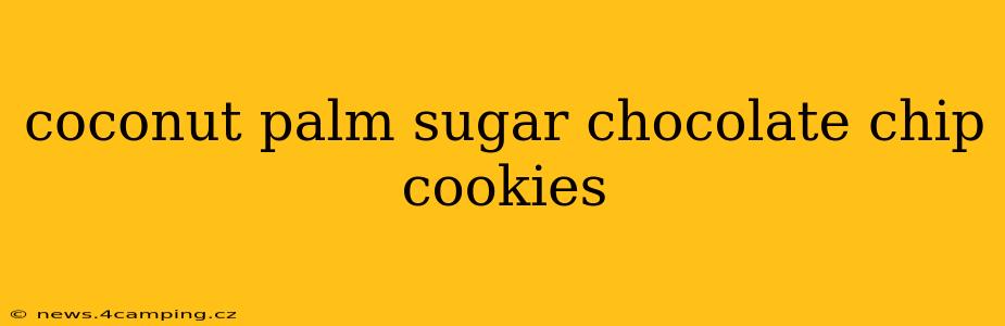 coconut palm sugar chocolate chip cookies
