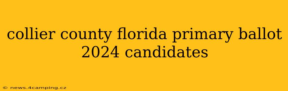 collier county florida primary ballot 2024 candidates