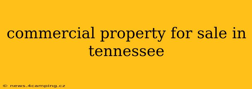 commercial property for sale in tennessee