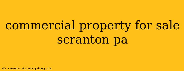commercial property for sale scranton pa