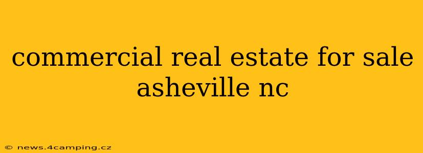 commercial real estate for sale asheville nc