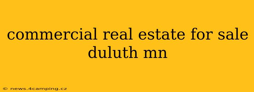 commercial real estate for sale duluth mn