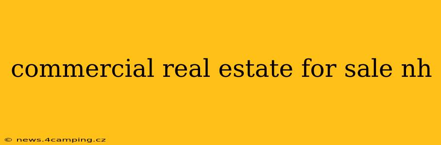 commercial real estate for sale nh