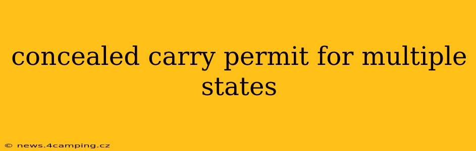 concealed carry permit for multiple states