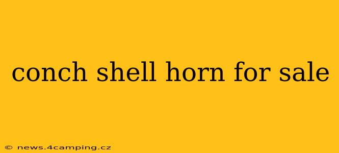 conch shell horn for sale