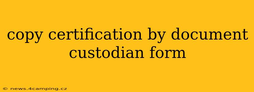 copy certification by document custodian form
