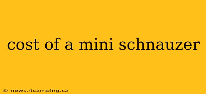 cost of a mini schnauzer