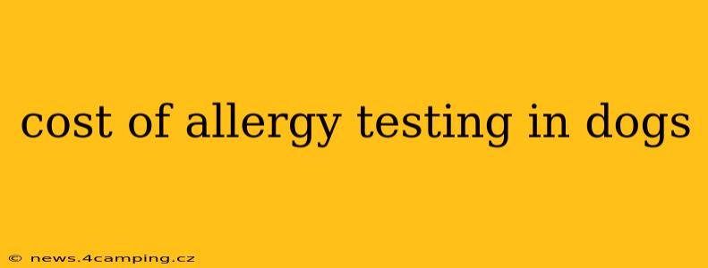 cost of allergy testing in dogs