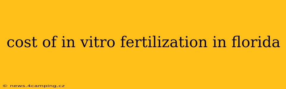 cost of in vitro fertilization in florida