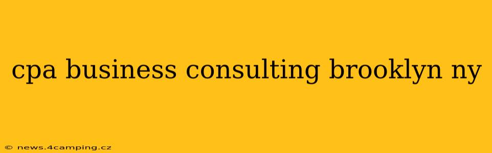 cpa business consulting brooklyn ny