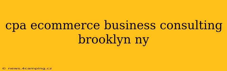 cpa ecommerce business consulting brooklyn ny