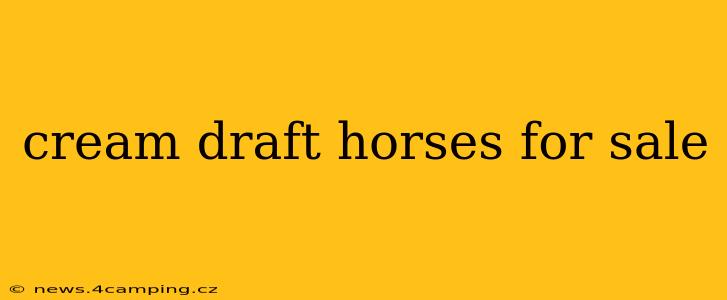 cream draft horses for sale