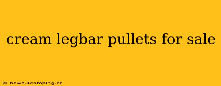 cream legbar pullets for sale