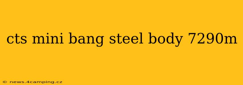 cts mini bang steel body 7290m