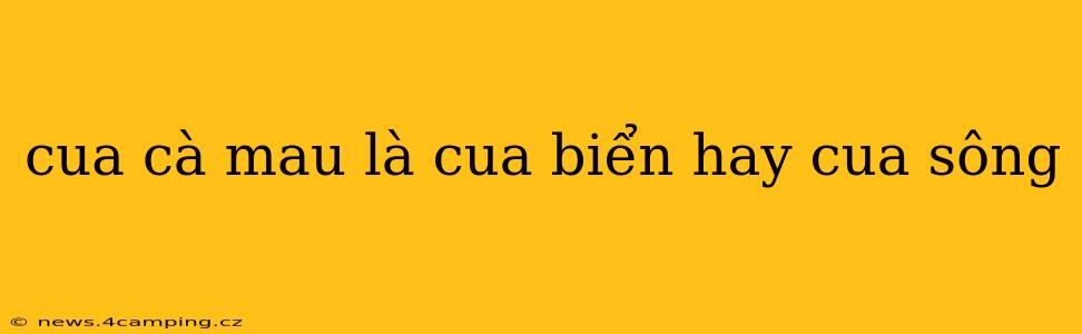 cua cà mau là cua biển hay cua sông